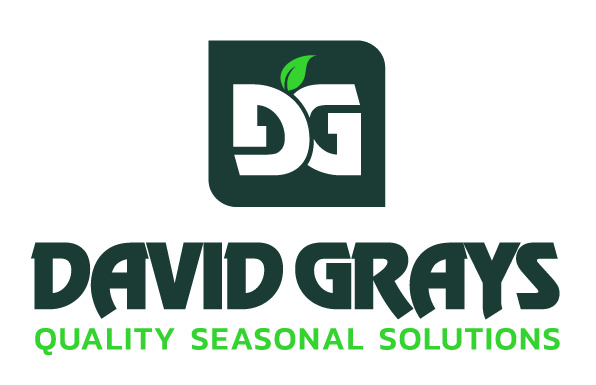 David gray logo