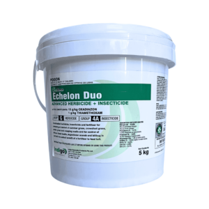 Echelon Duo