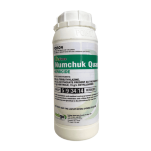 Indigo Numchuk Quad 1L