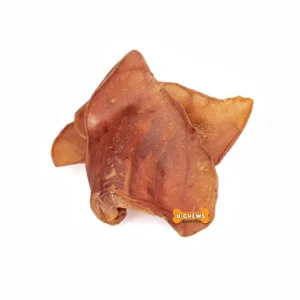 U Chews Pig Ear 10 Pack