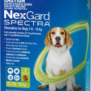 NexGard Spectra Medium Dog 7.6-15kg