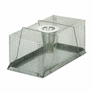 Wire Rat Trap Top Hole Entry Large