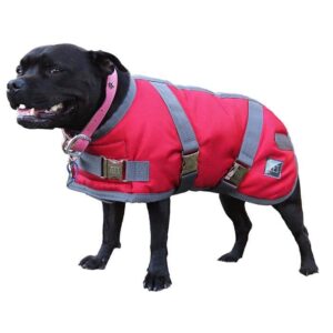 Zeez Supreme Dog Coat Ruby Red/ Grey