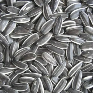 Avigrain Grey Striped Sunflower 2.5kg