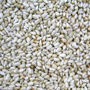 Avigrain Safflower 2kg