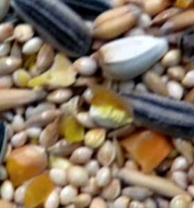 Avigrain Small Parrot 2.5kg